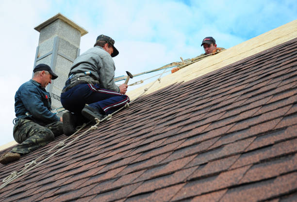 Best New Roof Installation  in Mason City, IL